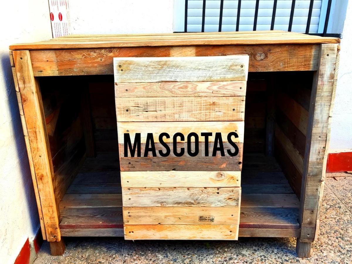 La Casa Del Naturalista El Bosque Ngoại thất bức ảnh