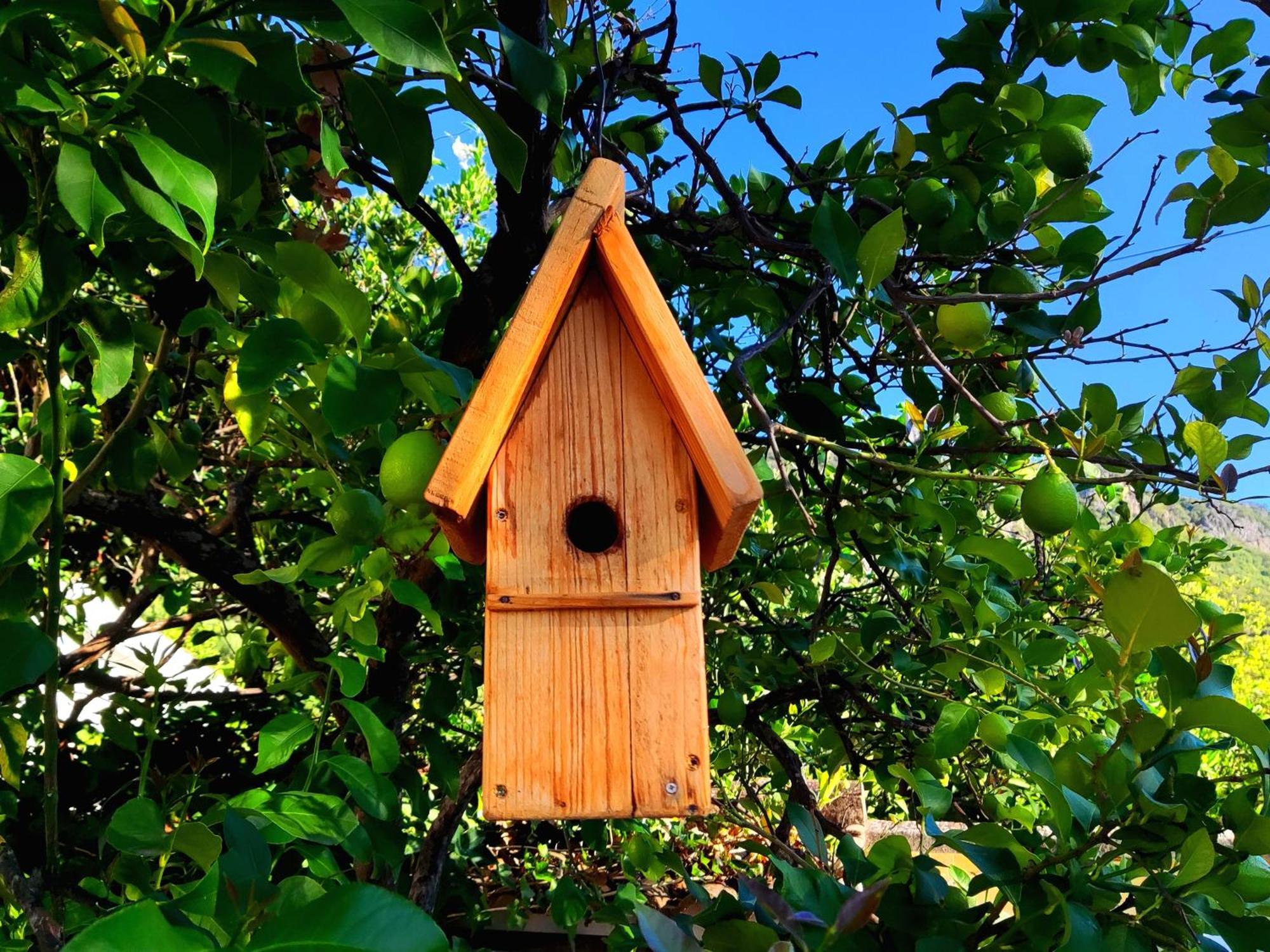 La Casa Del Naturalista El Bosque Ngoại thất bức ảnh